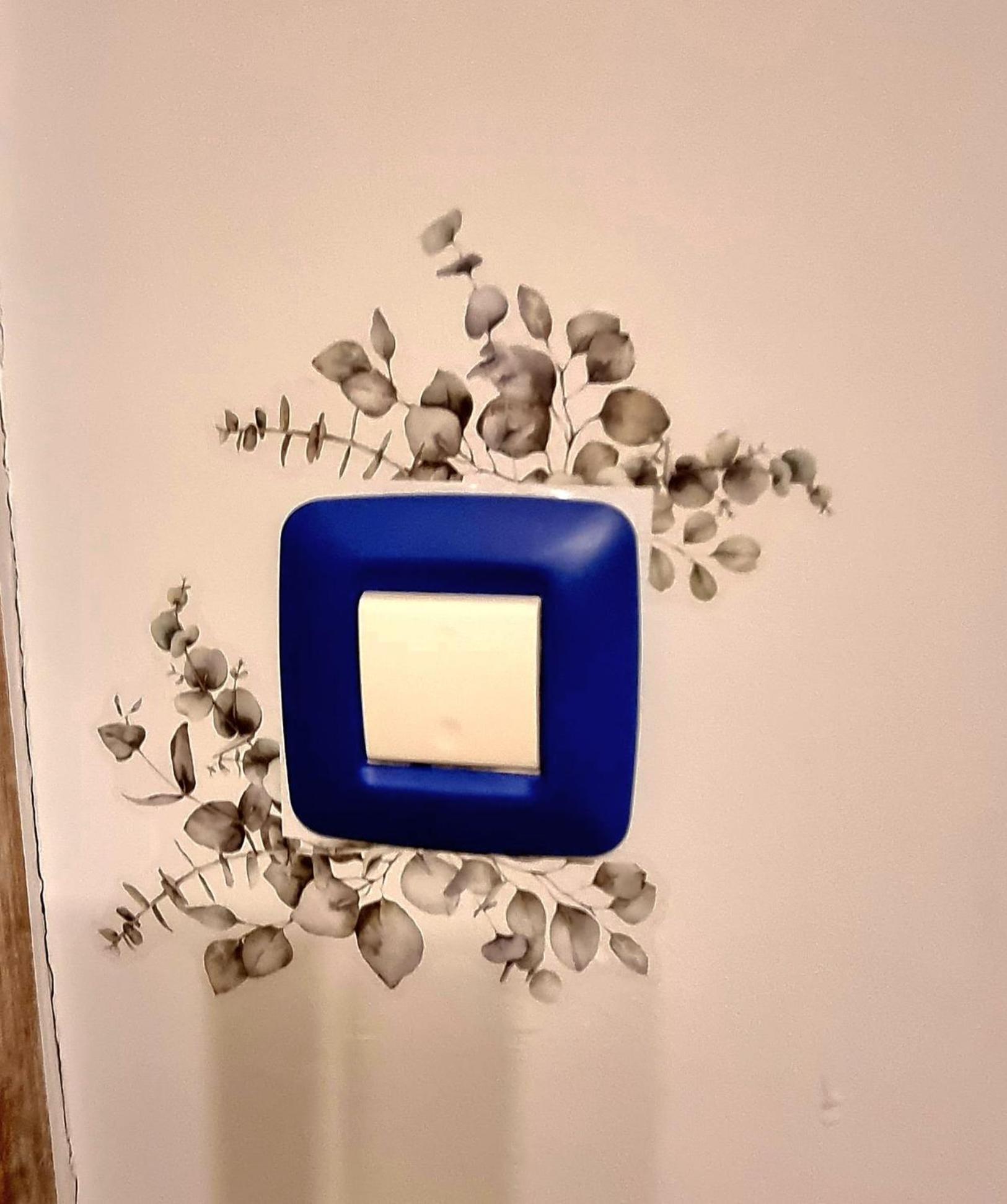 רייקה Darlea Apartman מראה חיצוני תמונה