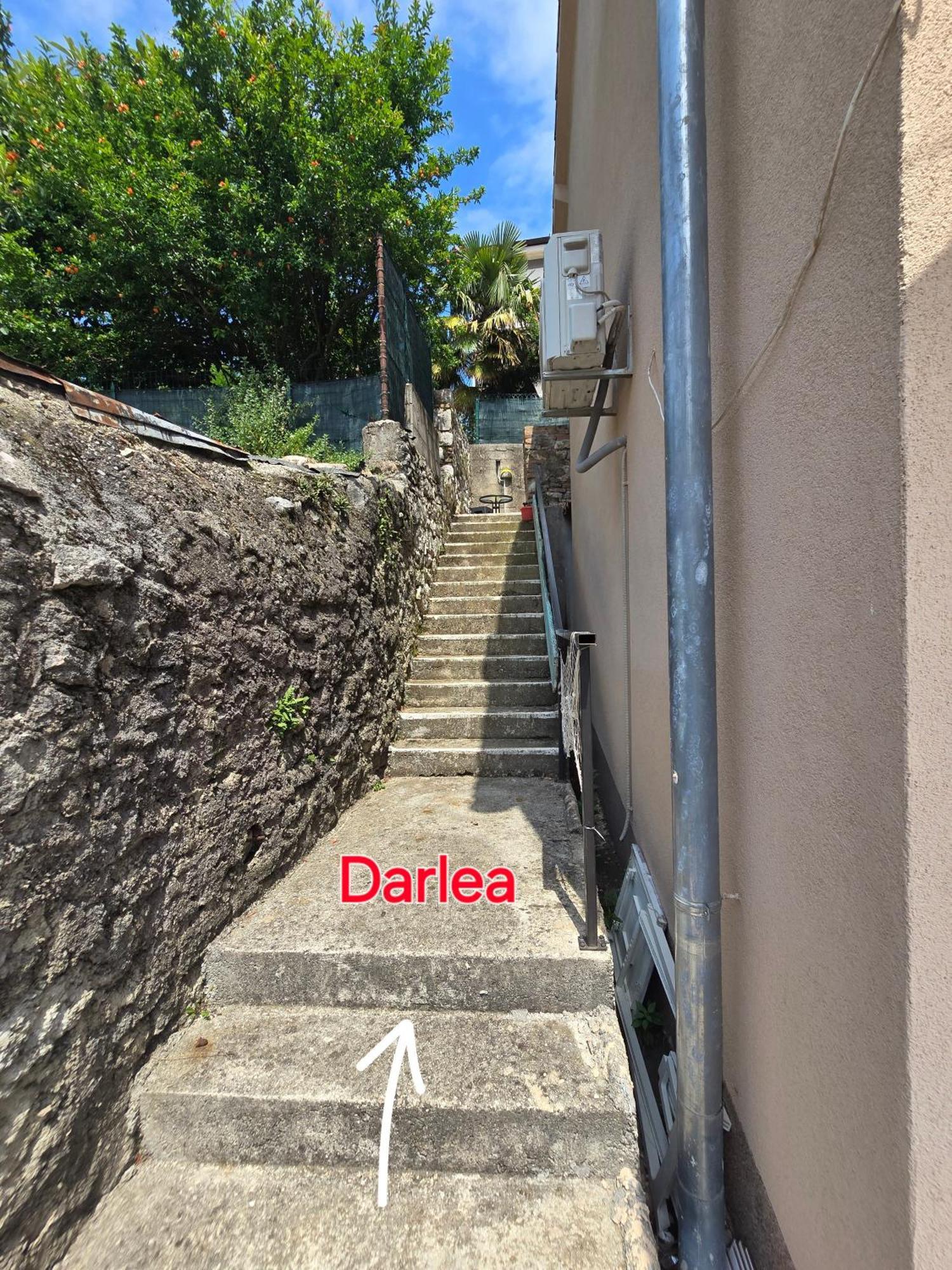 רייקה Darlea Apartman מראה חיצוני תמונה